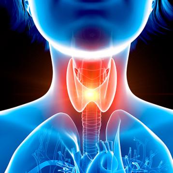 Endocrinology Endocrinology