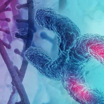 genomic analysis