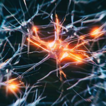 Neurodegeneration